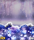 ab19bx.gif